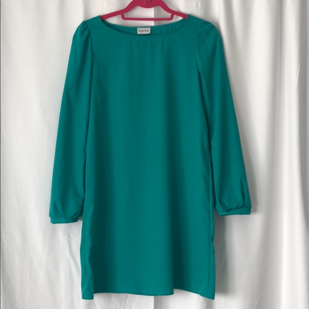 Brigitte Bailey Long Sleeve A-Line Dress